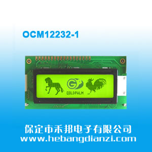 OCM12232-1 5V